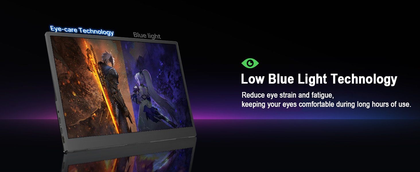 10 inch portable monitor