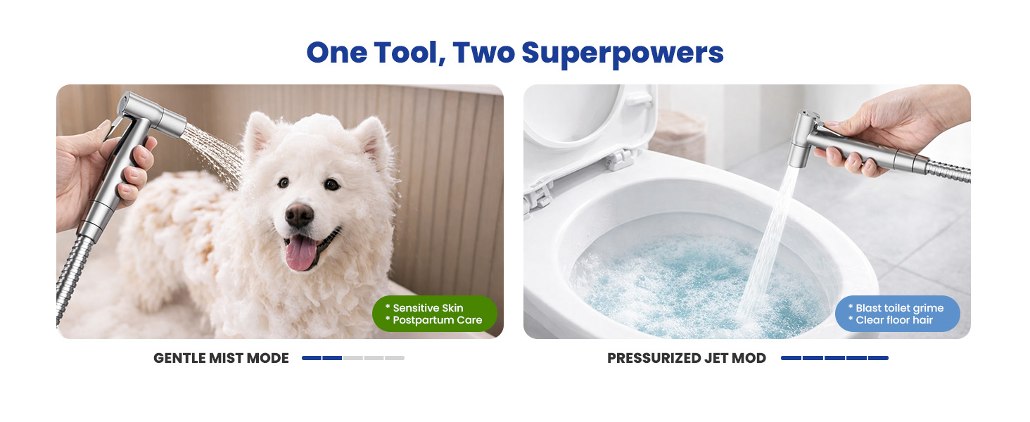 Bidet Sprayer