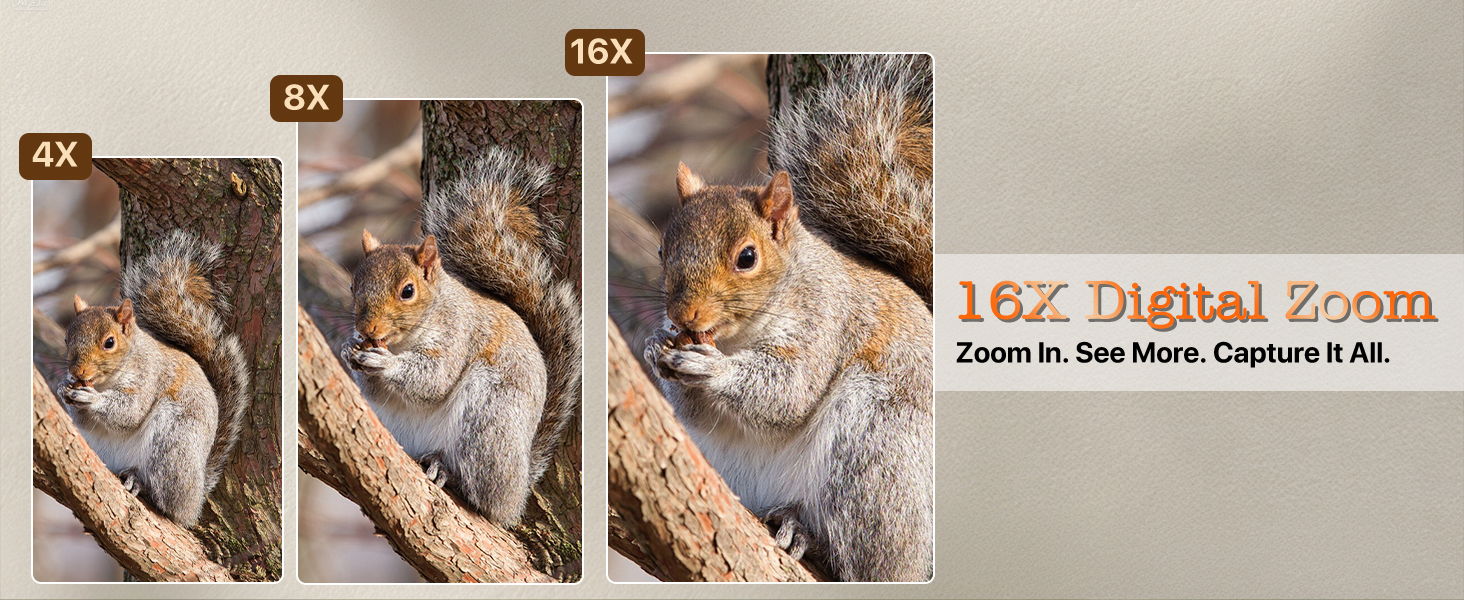 16x digital zoom