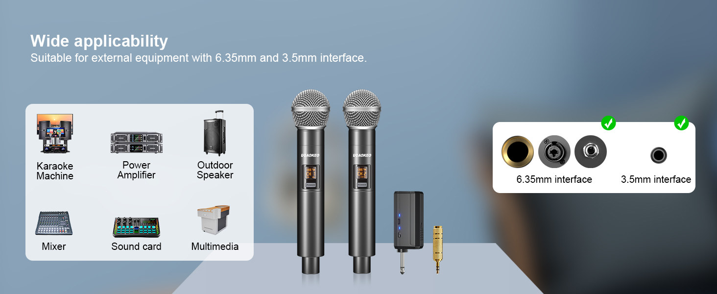 wireless mic