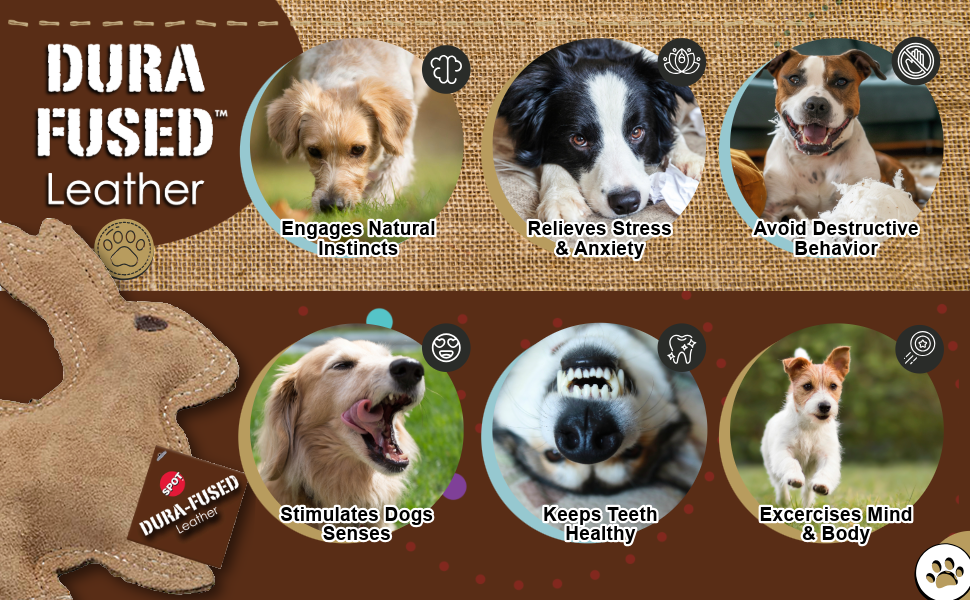 resistente al masticado juguetes para perros de curo moderate chewer non-toxic soft small to medium
