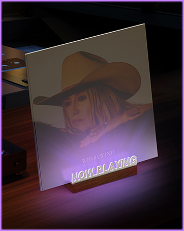 Now Playing Vinyl Record Stand