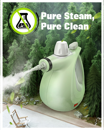 steam cleaner