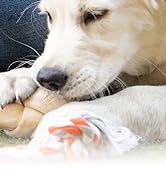 Wahl USA 4-in-1 Calming Pet Shampoo for Dogs – Cleans, Conditions, Detangles, &amp; Moisturizes with ...