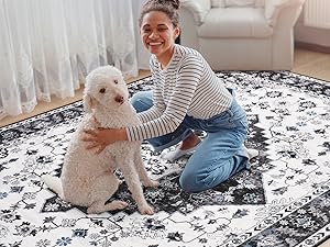 Pet Friendly