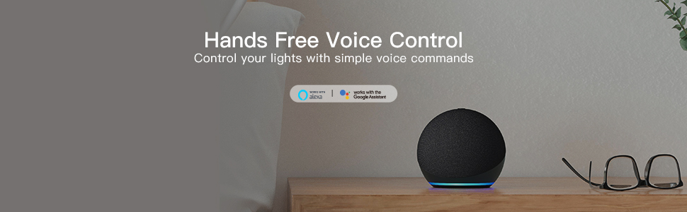 voice control