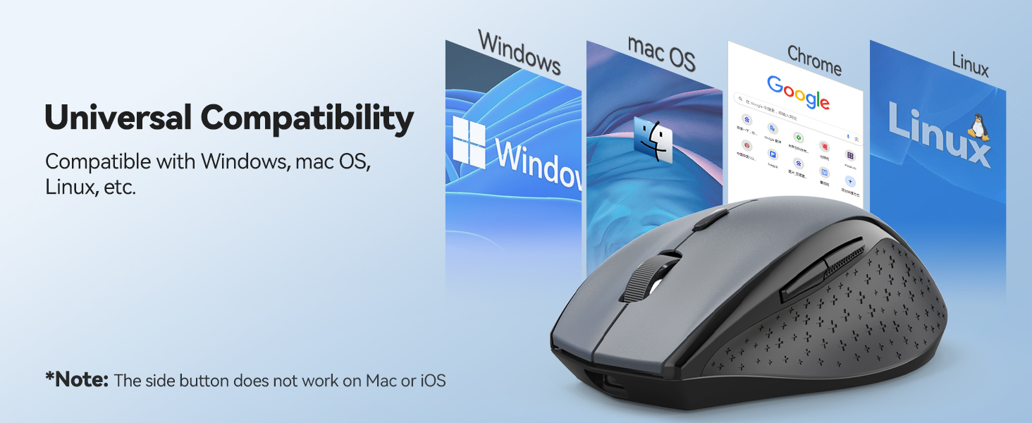 mouse