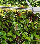 Hedge Trimmer