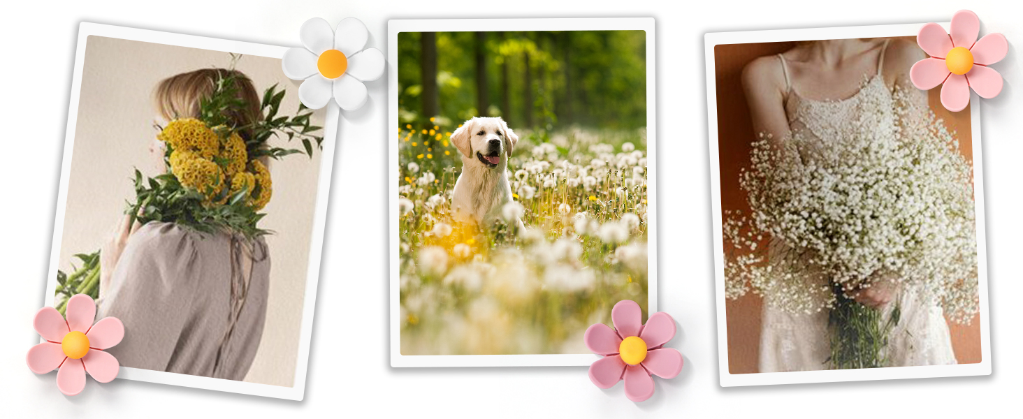 thumb tacks for wall