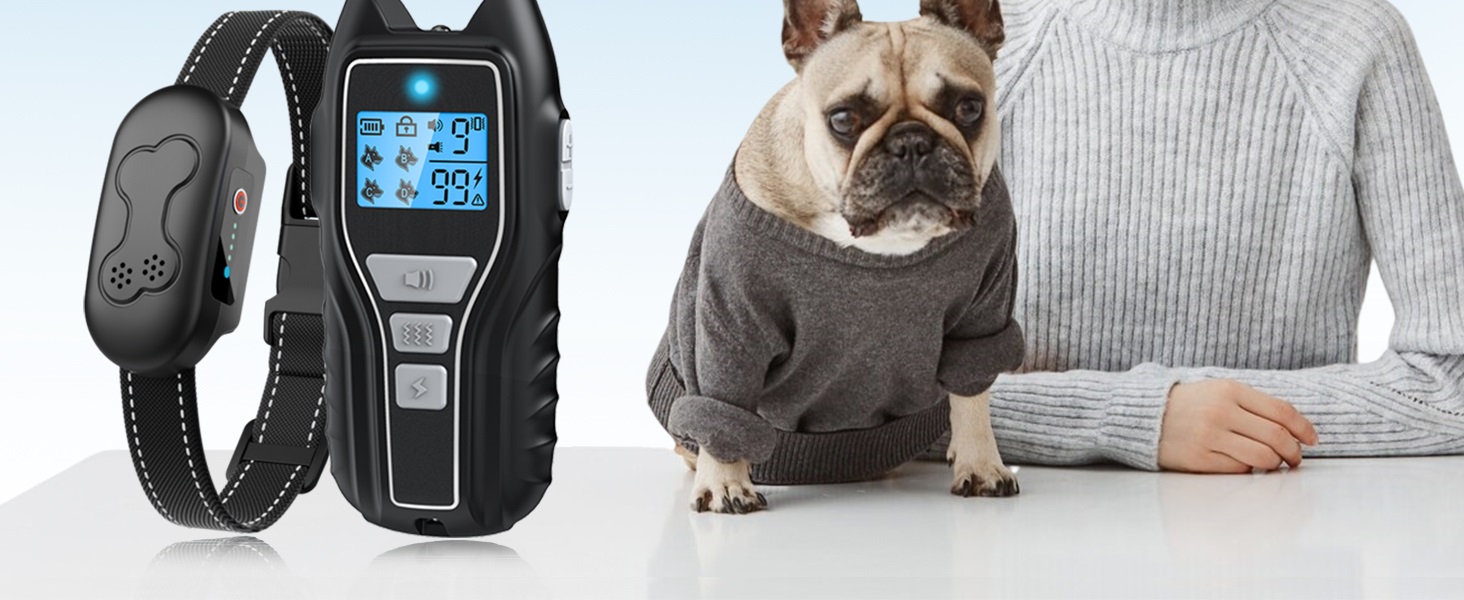 shock collar for dogs