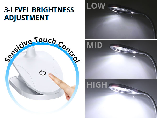 magnifying lamp with light