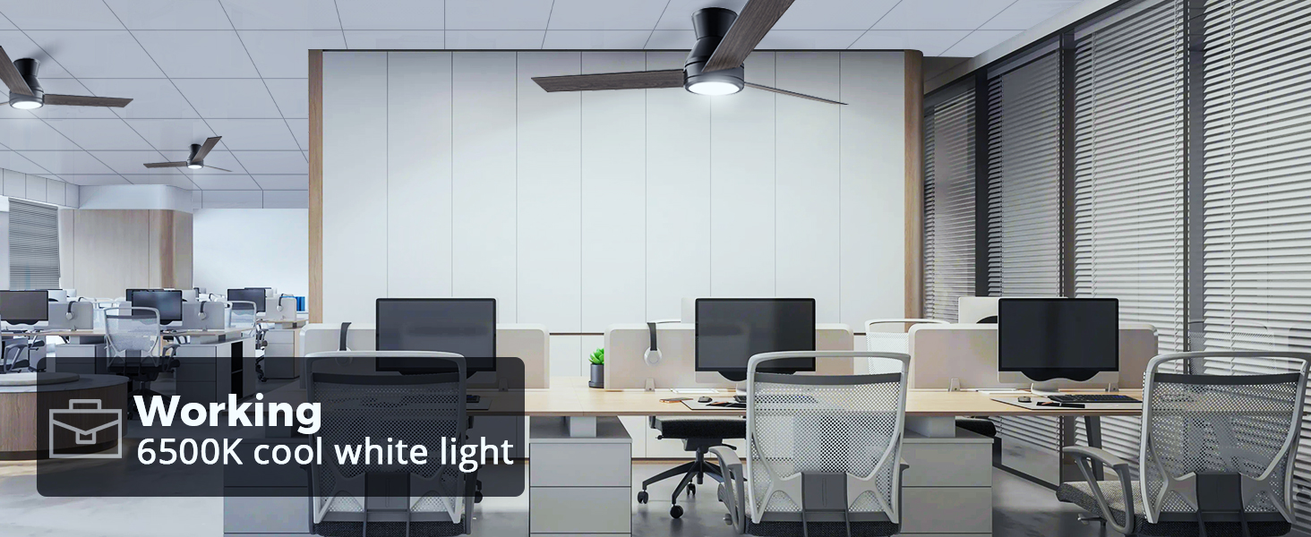 Ceiling Fans with Lights