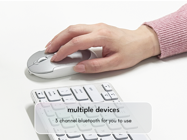 mouse