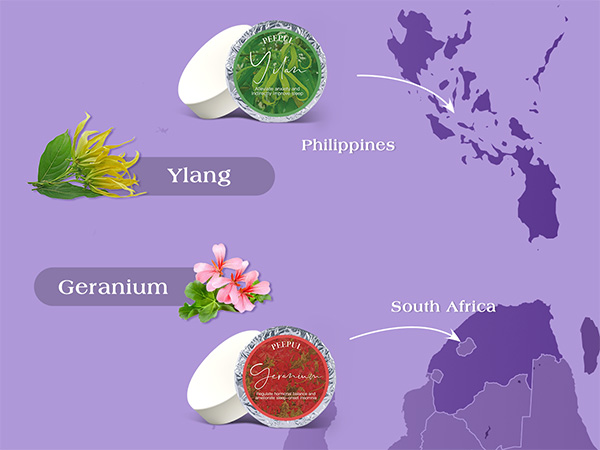 Shower Steamers Aromatherapy 