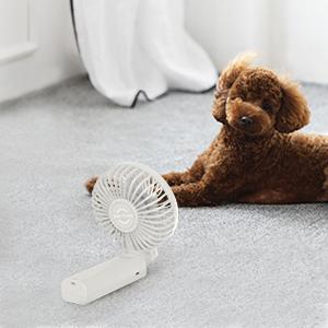 COOLING YOUR KIDS AND PETS