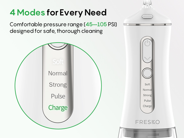 Water Dental Flosser