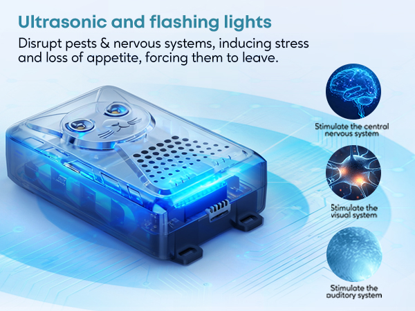 Ultrasonic Rodent Repellent