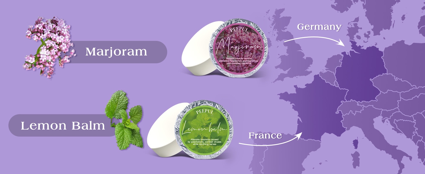 Shower Steamers Aromatherapy