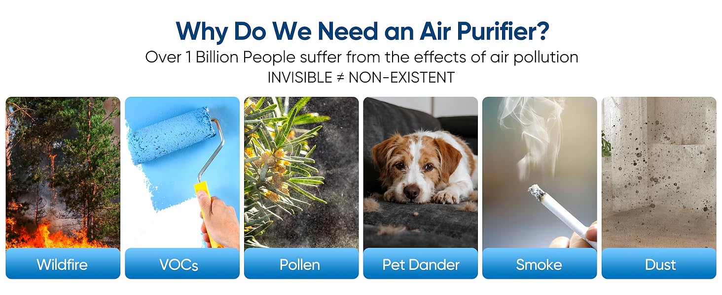 Air Purifiers for Home Bedroom, HEPA Pet Hair Air Purifier, Quiet Sleep Mode