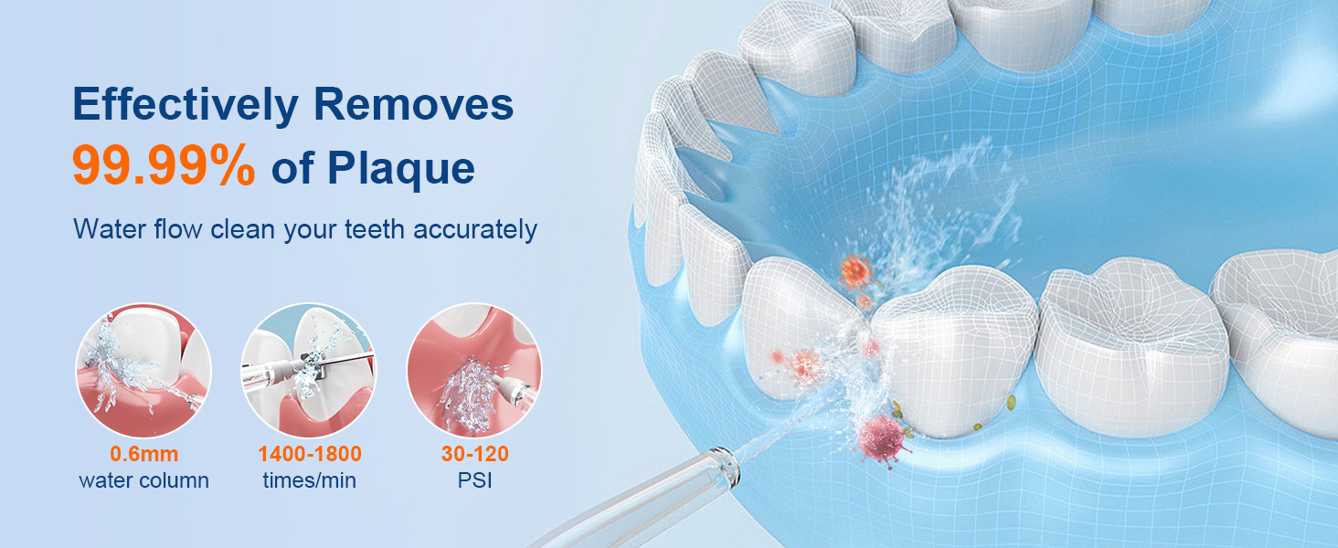 portable water flosser for teeth