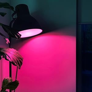 Bright enough to fill any room