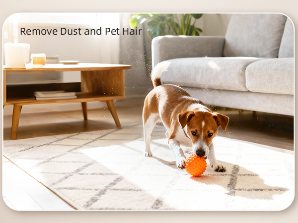 Remove Dust and Pet Hair