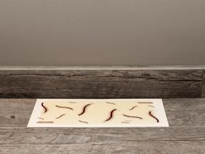 centipede heavy duty glue board
