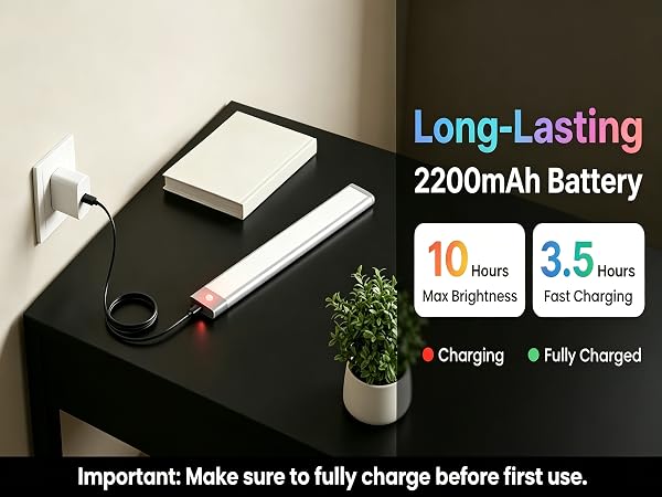 large battery