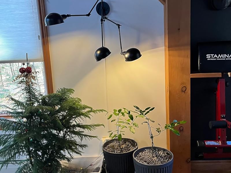 cord hider,cord covers for wires on wall,cable hider,wire covers for cords on wall,cable management