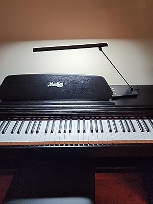 black task lamp for piano
