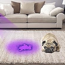 urine black light detector alt=“urine black light detector” 