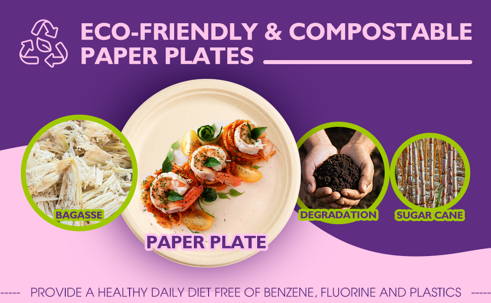 paper plate