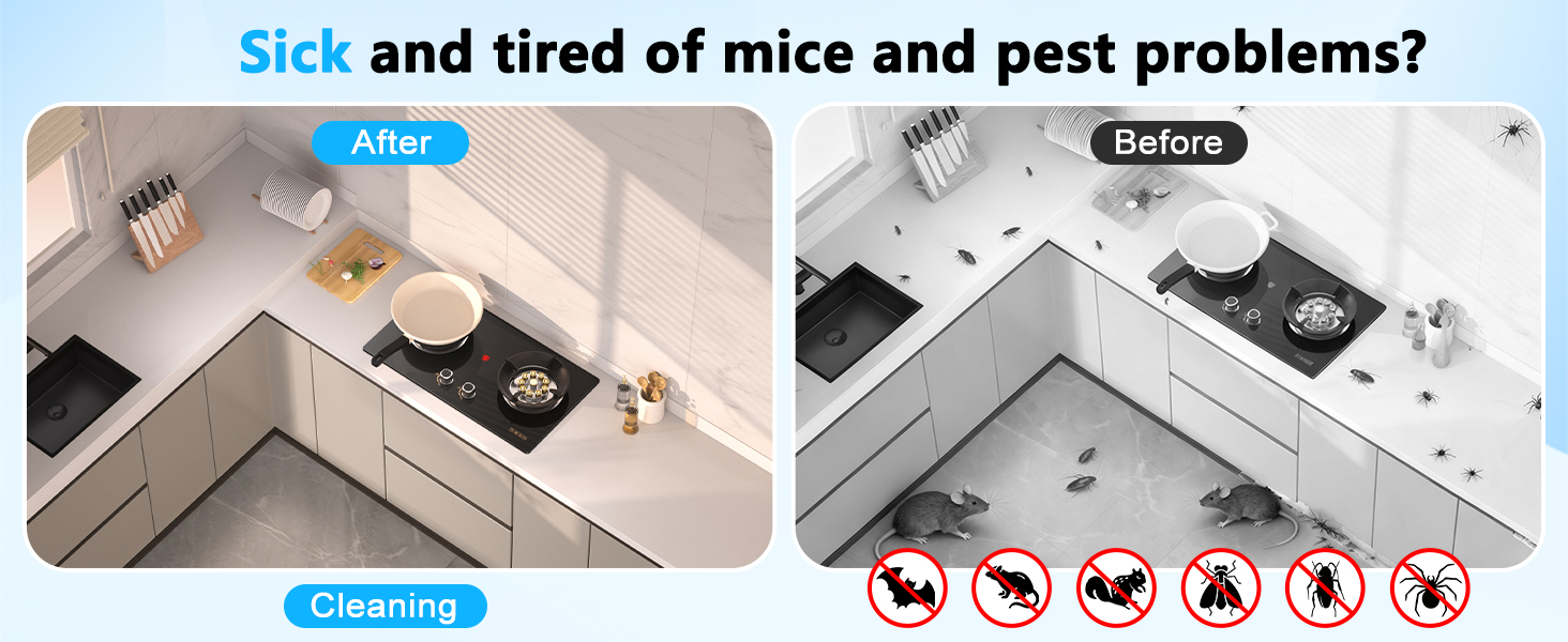 pest control