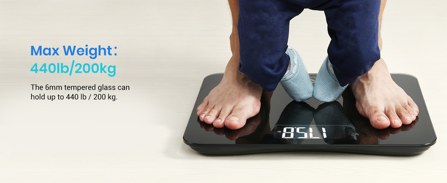 max weight up to 440lb