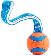 Chuckit Ultra Tug Dog Toy, Medium Fetch and Dog Ball Tug Toy for Dogs 20-60 Pounds