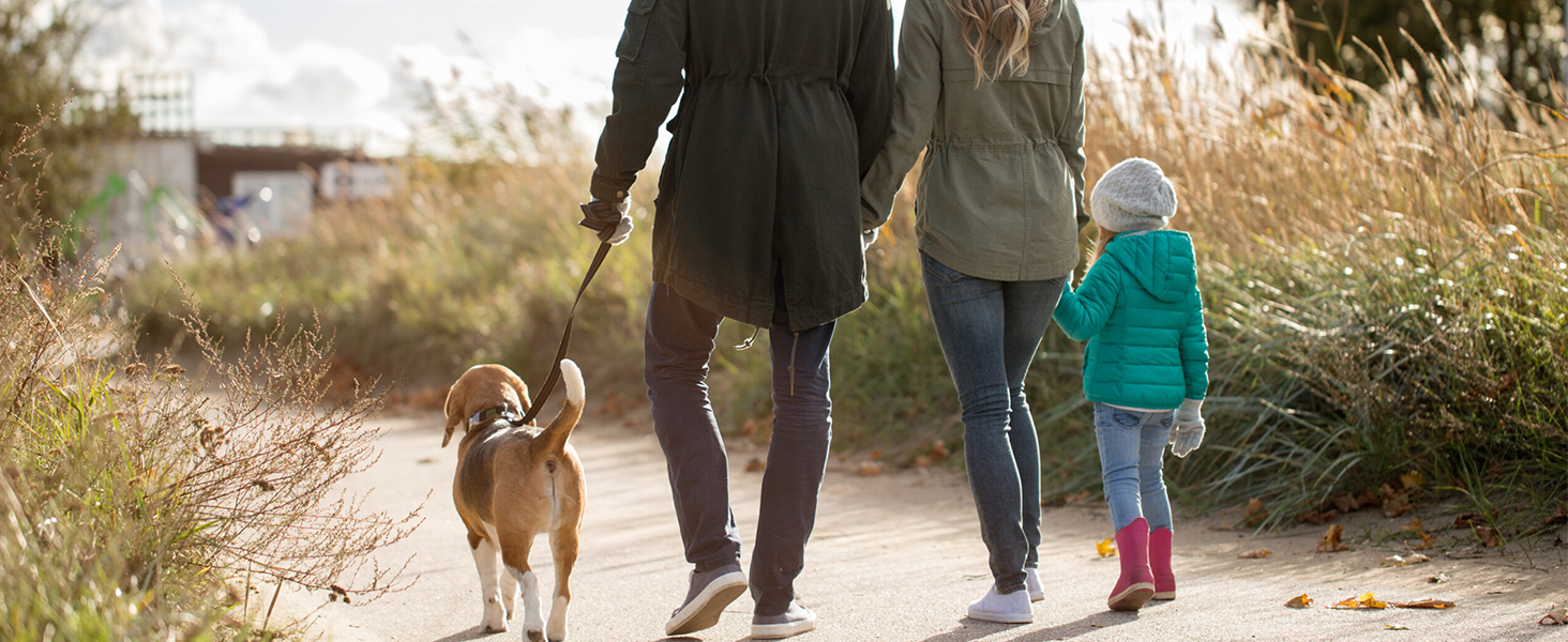 Back view of people walking on a nature path through tall grass at sunset or sunrise, accompanied by a dog.