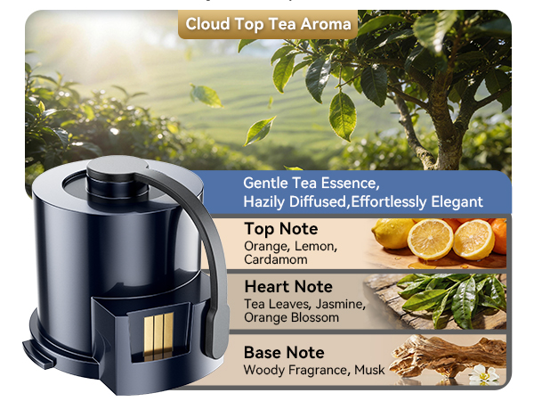 Smart Car Scent Diffuser Refill