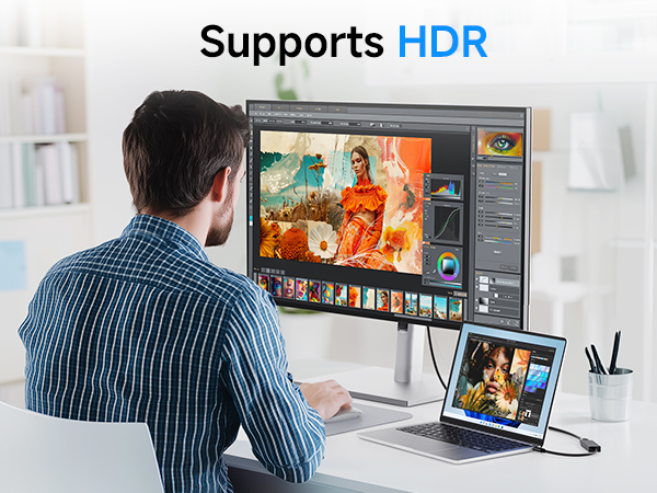 USB C to DisplayPort 1.4 Adapter