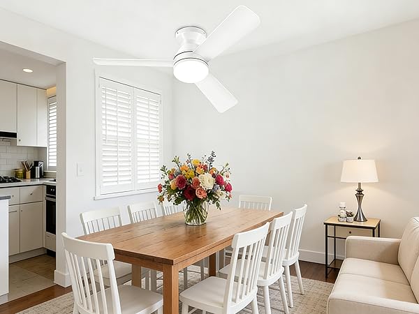 ceiling fans
