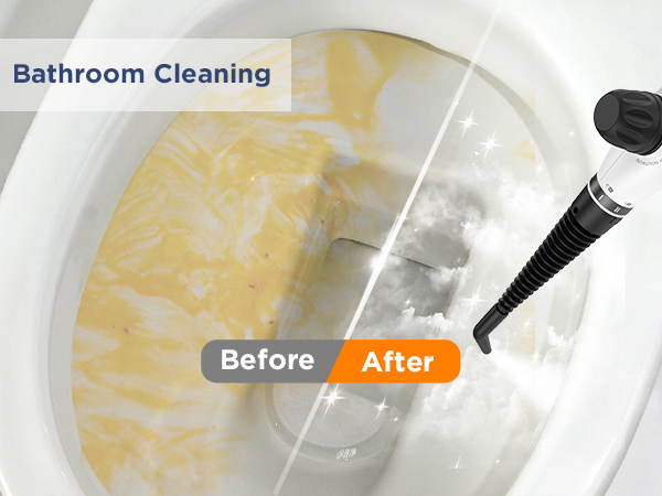 steam cleaner labigo