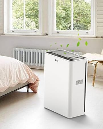 Air Purifier
