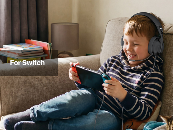 switch headsetwith mic