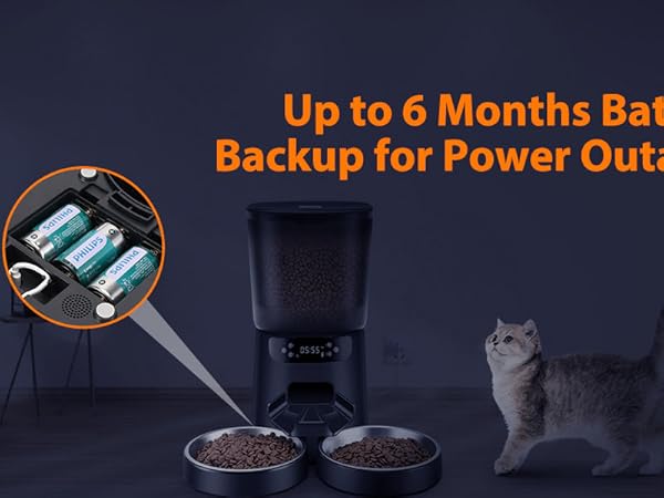 dual cat feeder automatic