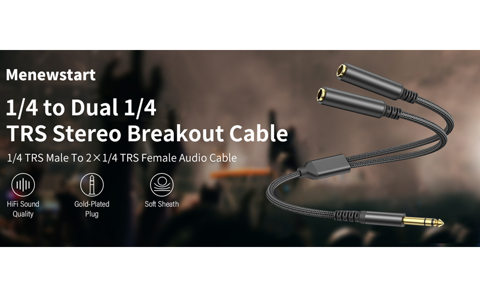 1/4 male to dual female