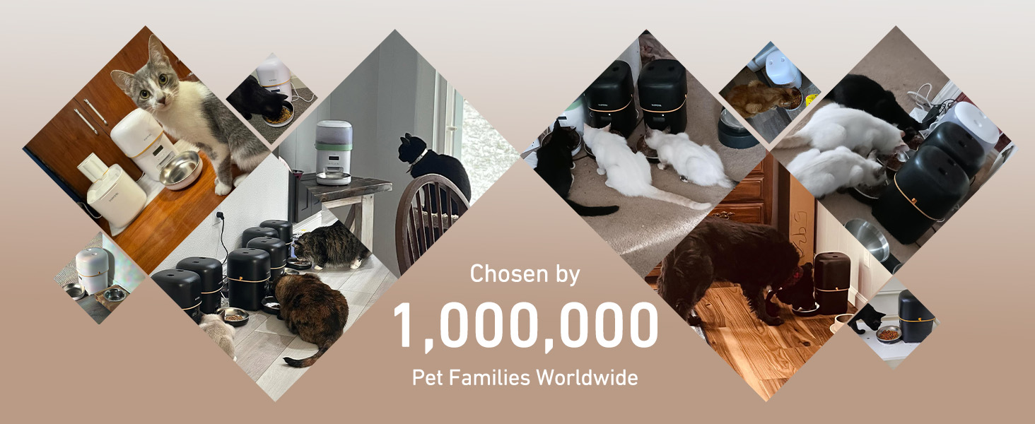 autoamtic cat feeder automatic cat food dispenser pet feeder