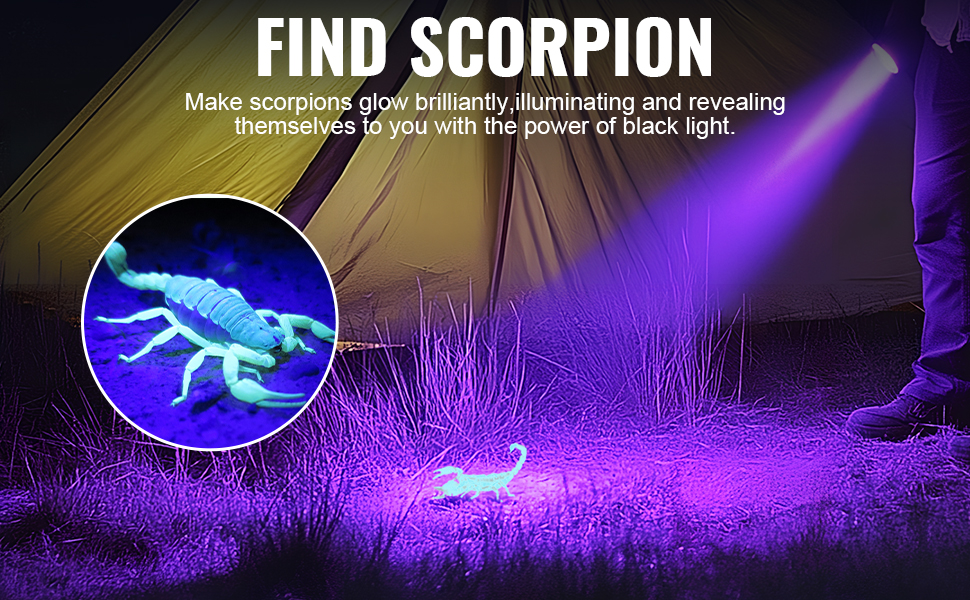 UV Light Flashlight Black Light