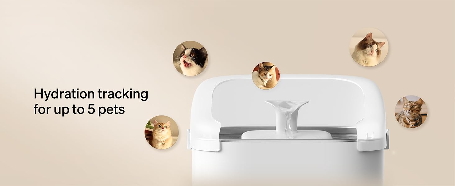 Multi Cats Water Fountain