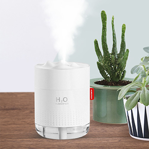 Portable Humidifier