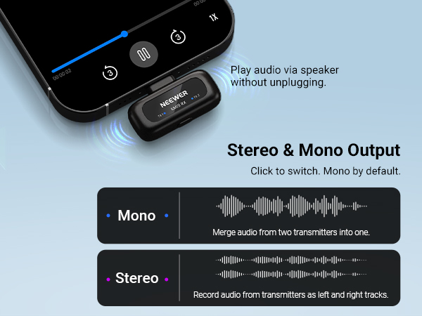 Stereo &amp;amp; Mono Output