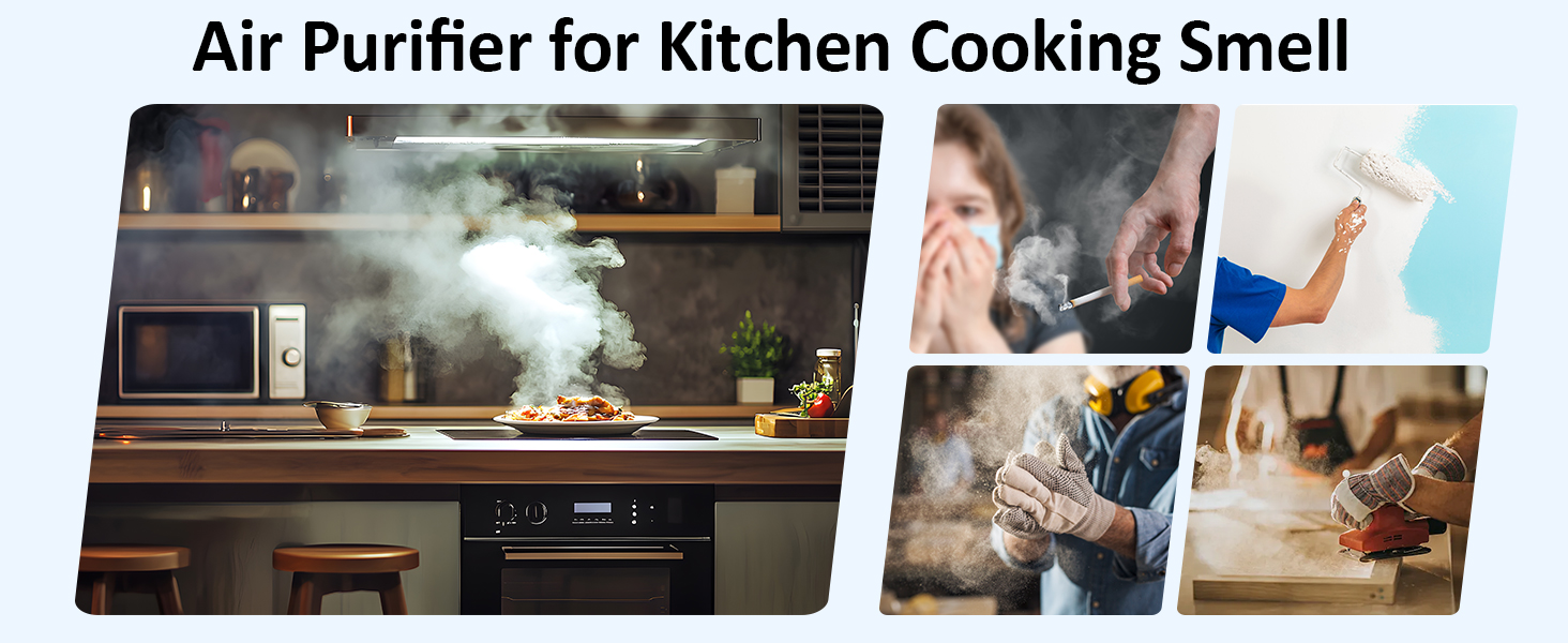 air purifier for cat litter smell